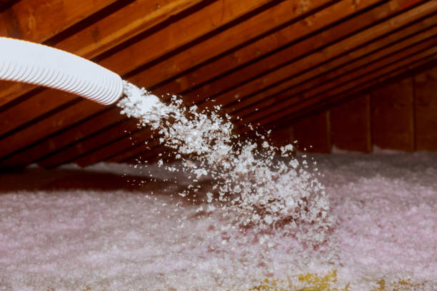 Best Insulation Maintenance and Repair in Slaton, TX