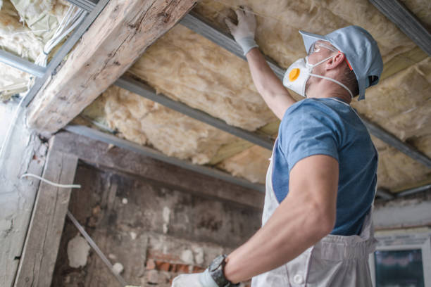 Best Residential Insulation in Slaton, TX